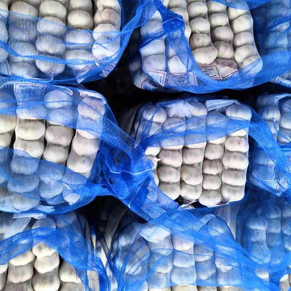 high quality normal white garlic